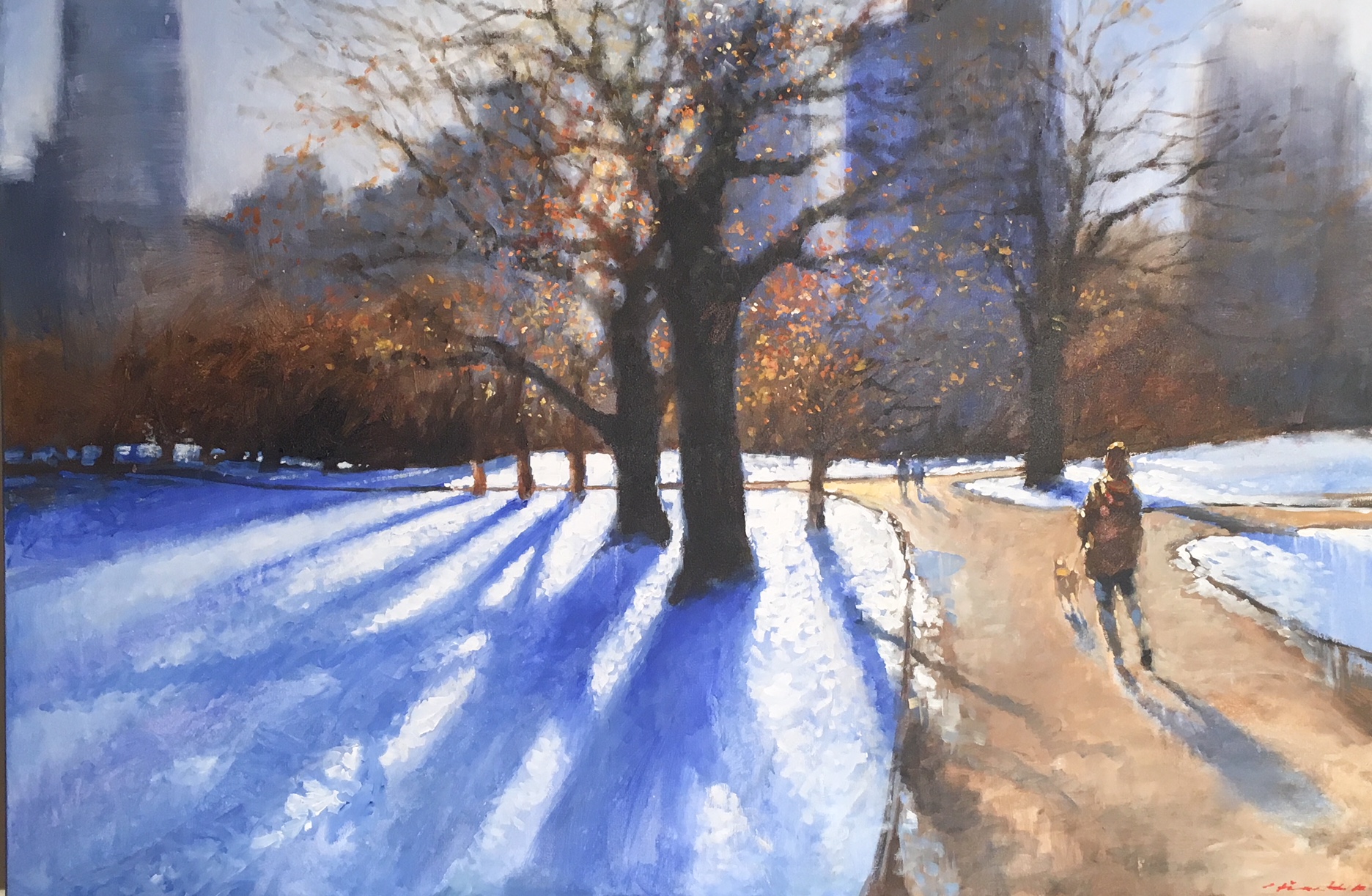 David Hinchliffe - Into the Light: Central Park - 