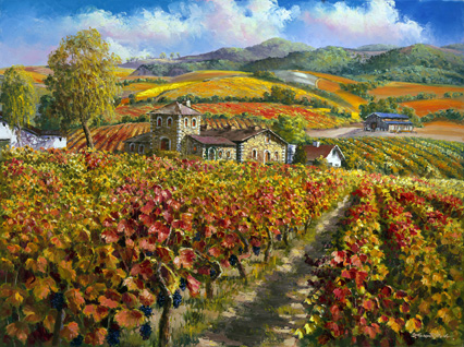 Sam Park - Red Vineyard of Napa Valley